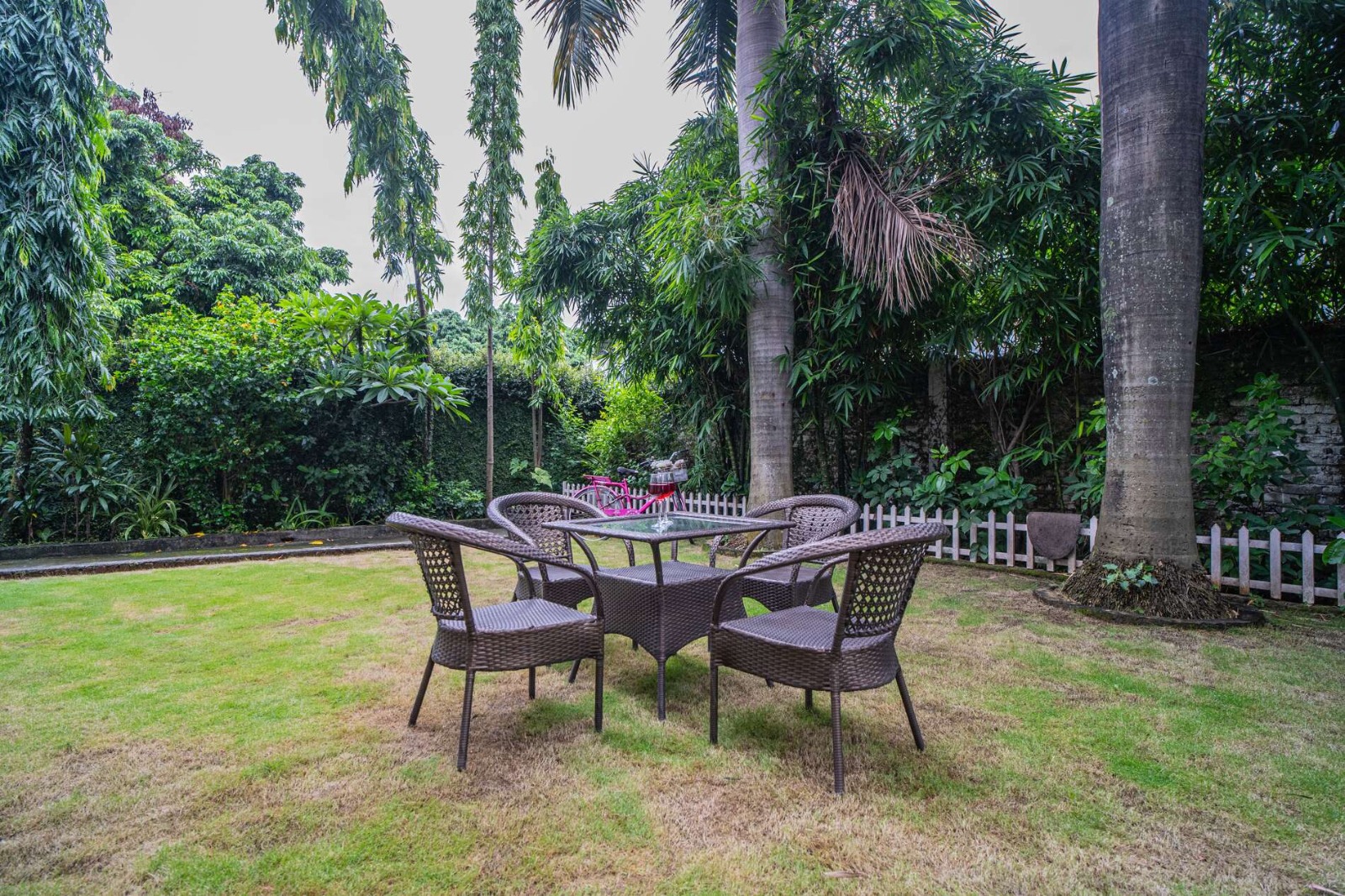 Lawn at Royal Bagh Villa